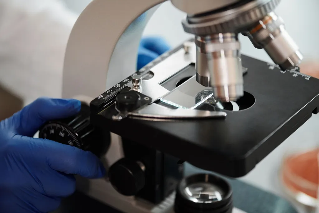 Gloved hands adjusting a laboratory microscope